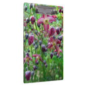 Hübsches Blumen-Frühlings-Foto des Klemmbrett (Rechts)