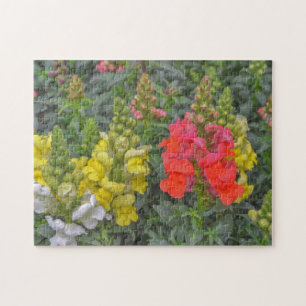Hübsches Blumenpuzzle Snapdragon Blume farbenfroh Puzzle