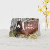 Hübsches braunes Foto-Beileid Karte (Gelbe Blume)