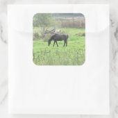 Hübsches braunes Pferd auf den Aufklebern der Weid Quadratischer Aufkleber (Tasche)