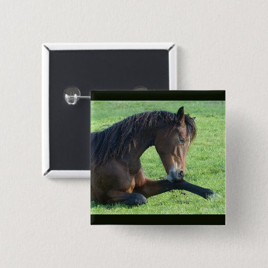 Hübsches braunes Pferd im Gras Button (Vorne & Hinten)
