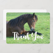 Hübsches braunes Pferd im Gras Dankeskarte (Vorne/Hinten)
