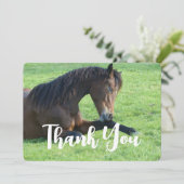 Hübsches braunes Pferd im Gras Dankeskarte (Stehend Vorderseite)