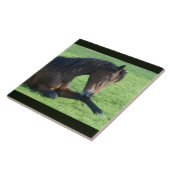 Hübsches braunes Pferd im Gras Fliese (Seite)