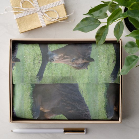 Hübsches braunes Pferd im Gras Gemustert Seidenpapier (Geschenk)