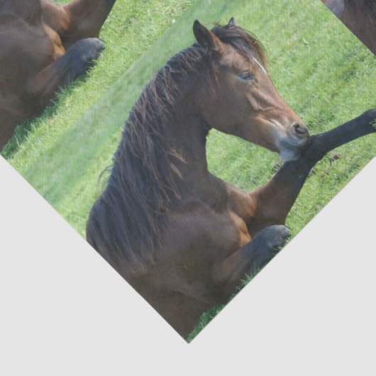 Hübsches braunes Pferd im Gras Gemustert Seidenpapier (Detail)