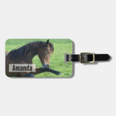 Hübsches braunes Pferd im Gras Gepäckanhänger (Vorderseite horizontal)