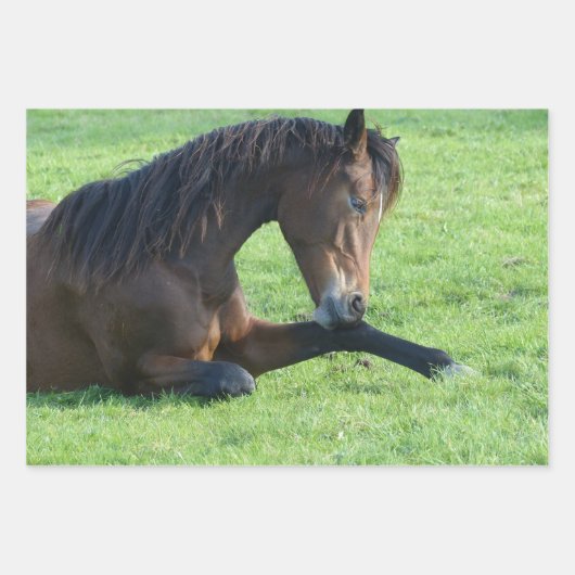 Hübsches braunes Pferd im Gras Geschenkpapier Set (Vorderseite 2)