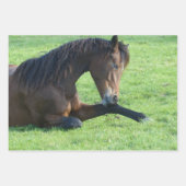 Hübsches braunes Pferd im Gras Geschenkpapier Set (Vorderseite)