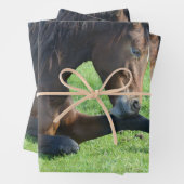 Hübsches braunes Pferd im Gras Geschenkpapier Set (Beispiel)