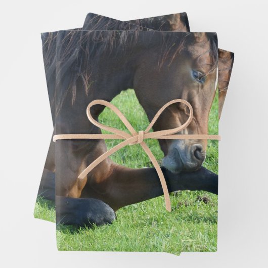 Hübsches braunes Pferd im Gras Geschenkpapier Set (Beispiel)