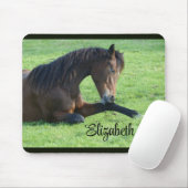 Hübsches braunes Pferd im Gras Mousepad (Mit Mouse)