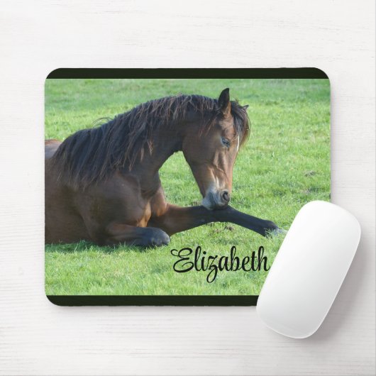 Hübsches braunes Pferd im Gras Mousepad (Mit Mouse)