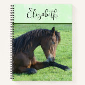 Hübsches braunes Pferd im Gras Notizblock (Vorderseite)