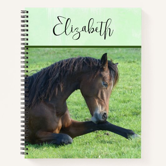 Hübsches braunes Pferd im Gras Notizblock (Vorderseite)