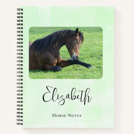 Hübsches braunes Pferd im Gras Notizblock (Vorderseite)