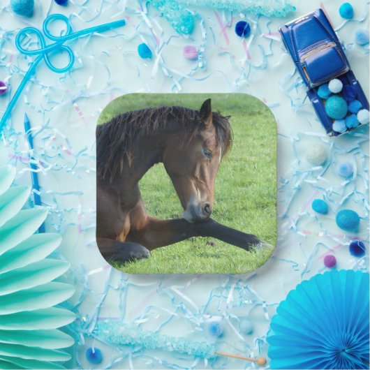 Hübsches braunes Pferd im Gras Pappteller (Party)