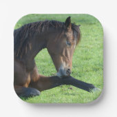 Hübsches braunes Pferd im Gras Pappteller (Vorderseite)