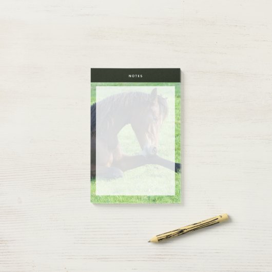 Hübsches braunes Pferd im Gras Post-it Klebezettel (Auf Schreibtisch)