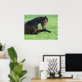 Hübsches braunes Pferd im Gras Poster (Heimbüro)