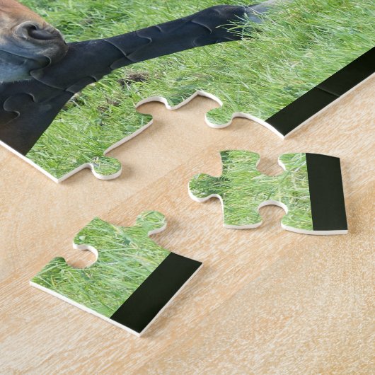 Hübsches braunes Pferd im Gras Puzzle (Seite)