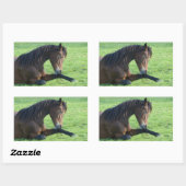 Hübsches braunes Pferd im Gras Rechteckiger Aufkleber (Blatt)