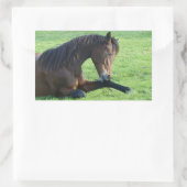 Hübsches braunes Pferd im Gras Rechteckiger Aufkleber (Tasche)