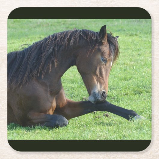 Hübsches braunes Pferd im Gras Rechteckiger Pappuntersetzer (Vorderseite)