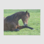 Hübsches braunes Pferd im Gras Seidenpapier (Vorderseite)