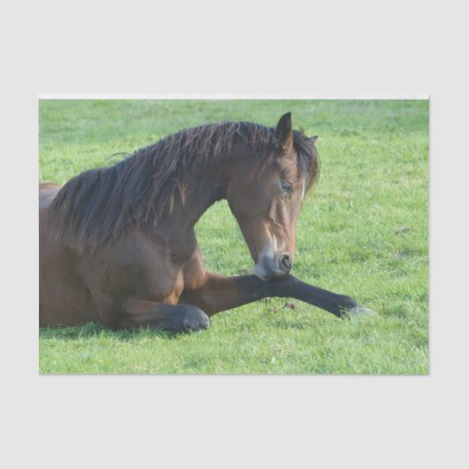 Hübsches braunes Pferd im Gras Seidenpapier (Vorderseite)
