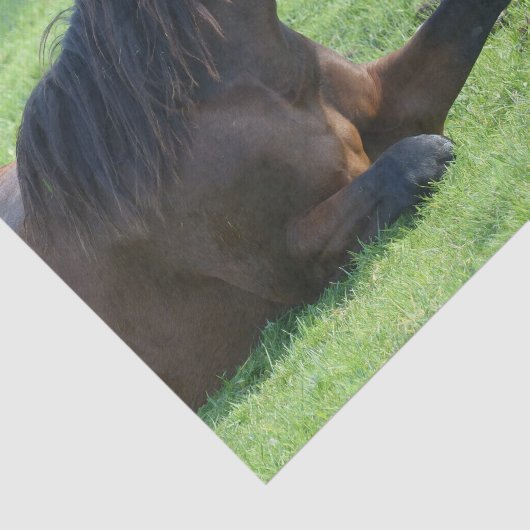 Hübsches braunes Pferd im Gras Seidenpapier (Ausschnitt)