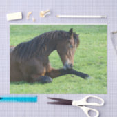 Hübsches braunes Pferd im Gras Seidenpapier (Handwerk)