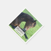 Hübsches braunes Pferd im Gras Serviette (Ecke)