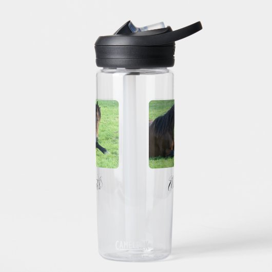 Hübsches braunes Pferd im Gras Trinkflasche (Links)