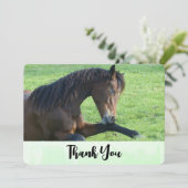 Hübsches braunes Pferd im Gras Vielen Dank Dankeskarte (Stehend Vorderseite)