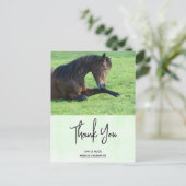 Hübsches braunes Pferd im Gras Vielen Dank Postkarte (Stehend Vorderseite)
