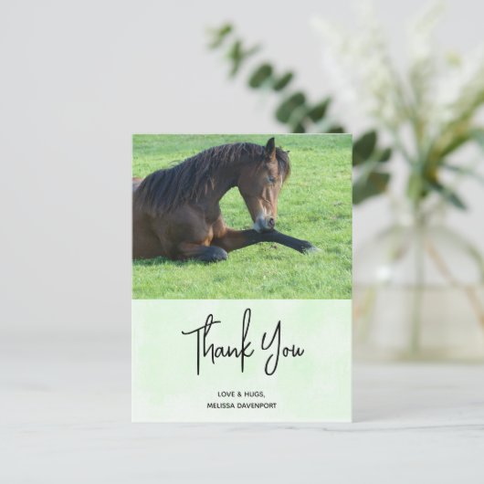 Hübsches braunes Pferd im Gras Vielen Dank Postkarte (Stehend Vorderseite)