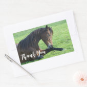 Hübsches braunes Pferd im Gras Vielen Dank Rechteckiger Aufkleber (Umschlag)