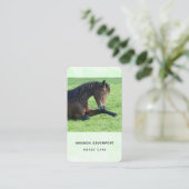 Hübsches braunes Pferd im Gras Visitenkarte (Stehend Vorderseite)