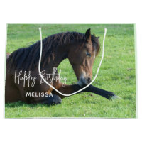 Hübsches braunes Pferd im Gras zum Geburtstag