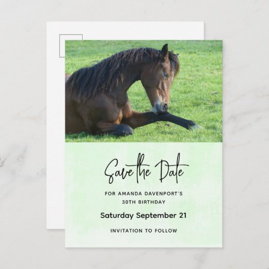 Hübsches braunes Pferd Save the Date liegend Einladungspostkarte (Vorne/Hinten)