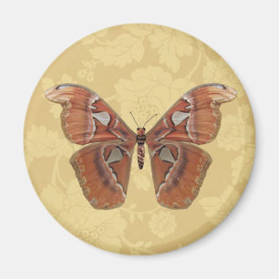 Hübsches Brown Butterfly auf Vintager Beige Flora Magnet