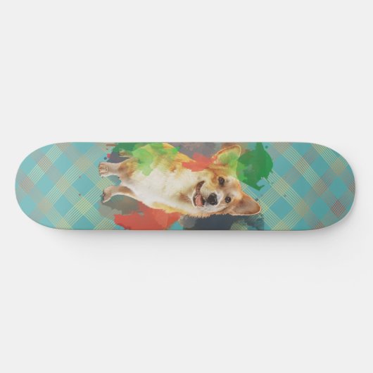 Hübsches Corgi. Skateboard (Horizontal)
