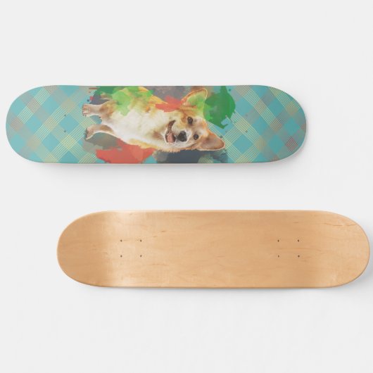 Hübsches Corgi. Skateboard (Horizontal)