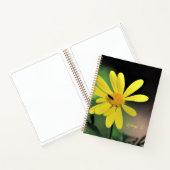 Hübsches Daisy Spiral Notebook Notizblock (Innenseite)