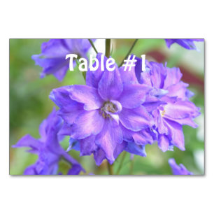 Hübsches Delphinium Tischnummer