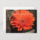 Hübsches Denken Sie an Orange Gerbera Daisy Foto Postkarte (Vorne/Hinten)