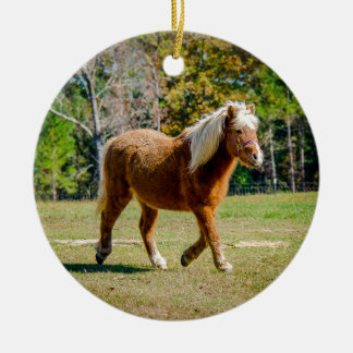 Hübsches die Shetlandinseln-Pony Keramik Ornament