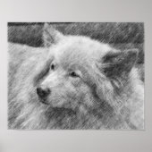 Hübsches Dog Face Pencil Art Poster (Vorne)