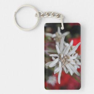 Hübsches Edelweiss Leontopodium nivale Schlüsselanhänger
